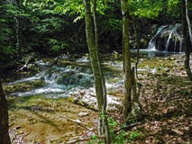 Kaskadenfluß mit schönen Flussschwellen in den grüner Frühlingswaldkrimbergen am Frühling lizenzfreie stockfotografie Kaskadenfluß mit schönen Flussschwellen in den grüner Frühlingswaldkrimbergen am Frühling lizenzfreie stockfotografie