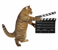 Kat met een clapperboard stock foto's Kat met een clapperboard stock foto's