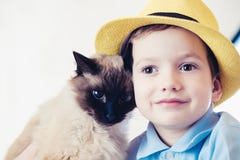 Kattbarnbalinese tillsammans att spela kamratskapomsorg arkivbilder Kattbarnbalinese tillsammans att spela kamratskapomsorg arkivbilder