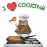 Katten lagar mat stekt kyckling royaltyfri illustrationer Katten lagar mat stekt kyckling royaltyfri illustrationer