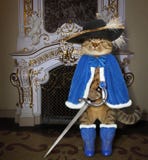 Katze in einem blauen Mantel nahe einem Kamin lizenzfreie stockfotos Katze in einem blauen Mantel nahe einem Kamin lizenzfreie stockfotos