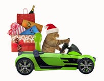 Katze fährt ein Auto mit Weihnachtsspielwaren stockbilder Katze fährt ein Auto mit Weihnachtsspielwaren stockbilder