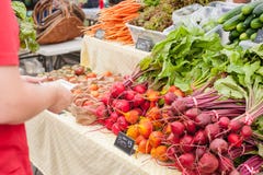 Kauf von roten Rüben am lokalen Landwirtmarkt lizenzfreie stockbilder Kauf von roten Rüben am lokalen Landwirtmarkt lizenzfreie stockbilder