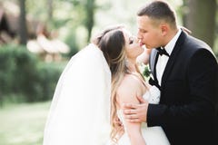Kaukasisch gelukkig romantisch jong paar die hun huwelijk vieren openlucht royalty-vrije stock foto's Kaukasisch gelukkig romantisch jong paar die hun huwelijk vieren openlucht royalty-vrije stock foto's
