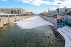 Kazan, Δημοκρατία της Ταταρίας, Ρωσία Πάπιες στο νερό στοκ φωτογραφία με δικαίωμα ελεύθερης χρήσης Kazan, Δημοκρατία της Ταταρίας, Ρωσία Πάπιες στο νερό στοκ φωτογραφία με δικαίωμα ελεύθερης χρήσης
