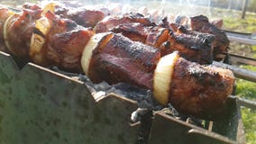 Kebab arrostito, estate di picnic, fucilazione lenta appetitosa archivi video Kebab arrostito, estate di picnic, fucilazione lenta appetitosa archivi video
