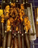 Kebab di Seekh fotografie stock Kebab di Seekh fotografie stock