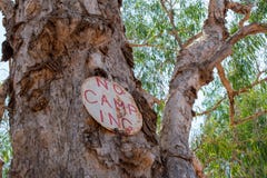 Kein kampierendes Zeichen auf einem Papierbarkenbaum in Australien stockfotos Kein kampierendes Zeichen auf einem Papierbarkenbaum in Australien stockfotos