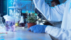 Kemist som gör prov i ett laboratorium arkivbild Kemist som gör prov i ett laboratorium arkivbild