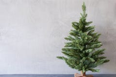 Kerstboom, Exemplaarruimte, Cementmuur als Achtergrond Stock Afbeelding