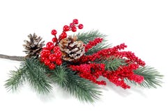 Kerstboomtak met rode bessen stock afbeeldingen Kerstboomtak met rode bessen stock afbeeldingen