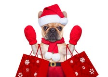 Kerstmishond het winkelen stock foto Kerstmishond het winkelen stock foto