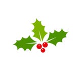 Kerstmispictogram van de hulstbes Element voor ontwerp vectorillustratie - Vector vector illustratie Kerstmispictogram van de hulstbes Element voor ontwerp vectorillustratie - Vector vector illustratie