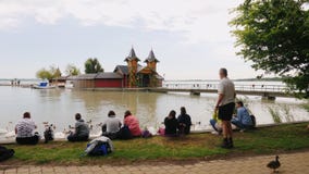 Keszthely, Hungury, im Juni 2017: Leuterest in einem Park nahe Plattensee Sie sitzen auf dem Gras durch das Wasser, die Schwäne v stock video footage Keszthely, Hungury, im Juni 2017: Leuterest in einem Park nahe Plattensee Sie sitzen auf dem Gras durch das Wasser, die Schwäne v stock video footage