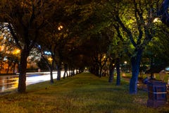 Khabarovsk, Russie - 13 août 2018 : Place de Lénine la nuit sous la lumière des lanternes photographie stock Khabarovsk, Russie - 13 août 2018 : Place de Lénine la nuit sous la lumière des lanternes photographie stock