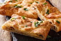 Khachapuri delicioso relleno con el queso de Suluguni, primer de los huevos horizontal imagen de archivo libre de regalías Khachapuri delicioso relleno con el queso de Suluguni, primer de los huevos horizontal imagen de archivo libre de regalías