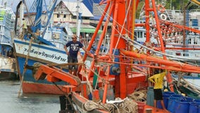 Khanom, Ταϊλάνδη - 21 Σεπτεμβρίου 2018 Σκουριασμένες βάρκες στα παλαιά σκουριασμένα σκάφη ακτών που σταθμεύουν στο λιμένα στην πό απόθεμα βίντεο Khanom, Ταϊλάνδη - 21 Σεπτεμβρίου 2018 Σκουριασμένες βάρκες στα παλαιά σκουριασμένα σκάφη ακτών που σταθμεύουν στο λιμένα στην πό απόθεμα βίντεο