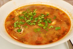 Kharcho soppa med kött och royaltyfria foton Kharcho soppa med kött och royaltyfria foton