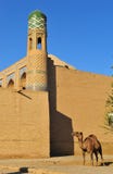 Khiva: верблюд перед стеной стоковое изображение rf Khiva: верблюд перед стеной стоковое изображение rf