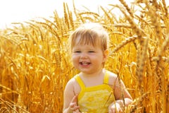 Kid In Wheat Royalty Free Stock Image