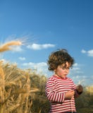 Kid In Wheat Field Royalty Free Stock Photography