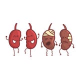 Kidneys Human Internal Organ Healthy Vs Unhealthy, Medical Anatomic Funny Cartoon Character Pair In Comparison Happy Stock Photography Kidneys Human Internal Organ Healthy Vs Unhealthy, Medical Anatomic Funny Cartoon Character Pair In Comparison Happy Stock Photography