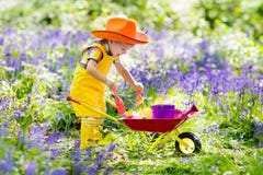 Kids in bluebell garden royalty free stock images Kids in bluebell garden royalty free stock images