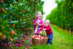 Image result for kids apple picking