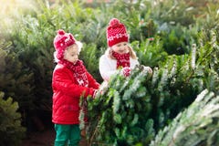 Kids select Christmas tree. Family buying Xmas tree. stock photos Kids select Christmas tree. Family buying Xmas tree. stock photos