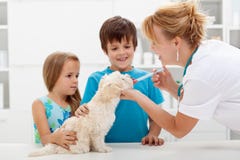 Kids with their pet at the veterinary doctor