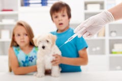 Kids at the veterinary doctor with their pet Stock Photography Kids at the veterinary doctor with their pet Stock Photography