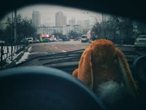 KIEW, UKRAINE - 13. Oktober 2018: Ansicht der Großstadt vom Autofenster Weiches Spielzeug im Vordergrund stockbilder KIEW, UKRAINE - 13. Oktober 2018: Ansicht der Großstadt vom Autofenster Weiches Spielzeug im Vordergrund stockbilder