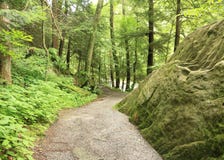 Kildo Trail - McConnells Mill State Park - Portersville, Pennsylvania royalty free stock images Kildo Trail - McConnells Mill State Park - Portersville, Pennsylvania royalty free stock images