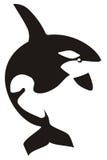 Killer Whale Royalty Free Stock Photography