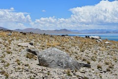 Kina Great Lakes av Tibet Sten med mantras på lagret av sjön Teri Tashi Namtso i solig sommardag royaltyfri foto Kina Great Lakes av Tibet Sten med mantras på lagret av sjön Teri Tashi Namtso i solig sommardag royaltyfri foto