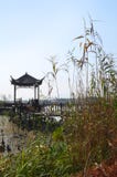 Kina parkerar den nationella våtmarkreserven arkivfoto Kina parkerar den nationella våtmarkreserven arkivfoto