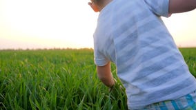 Kind geht entlang Feld und berührt grünes Gras gegen hell glühenden Himmel stock video Kind geht entlang Feld und berührt grünes Gras gegen hell glühenden Himmel stock video