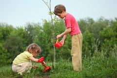 Kinder pflanzen den Baum stockfoto Kinder pflanzen den Baum stockfoto