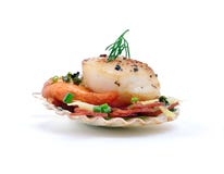 King Scallop Stock Image King Scallop Stock Image