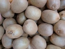 Kiwi, Kiwi, Erdbeerpfirsich, grün-fleischte Actinidia oder YangTAO aus stockfotos Kiwi, Kiwi, Erdbeerpfirsich, grün-fleischte Actinidia oder YangTAO aus stockfotos