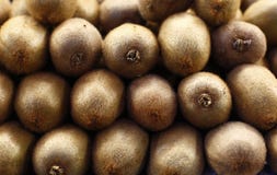 Kiwi, fond, fruits photo libre de droits Kiwi, fond, fruits photo libre de droits