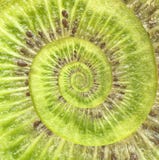 Kiwi Infinity Spiral Abstract Background. Stock Images