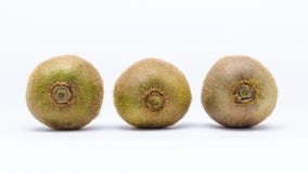 kiwis tre arkivbild kiwis tre arkivbild