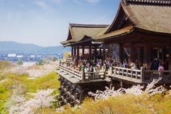 Kiyomizu temple and cherry blossom in Kyoto royalty free stock photo Kiyomizu temple and cherry blossom in Kyoto royalty free stock photo