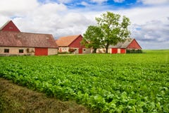 Klares Ackerland lizenzfreies stockbild Klares Ackerland lizenzfreies stockbild
