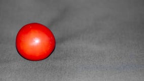 Kleine rote Tomate eingestellt gegen einen Hintergrund des mittleren grauen Stoffes stockfoto Kleine rote Tomate eingestellt gegen einen Hintergrund des mittleren grauen Stoffes stockfoto