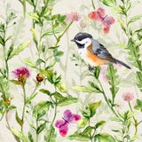 Kleine vogel, het gras van de de lenteweide, bloemen, vlinders Het herhalen van patroon watercolor Stock Afbeeldingen Kleine vogel, het gras van de de lenteweide, bloemen, vlinders Het herhalen van patroon watercolor Stock Afbeeldingen