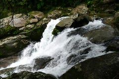 Kleine waterval in het oerwoud van Yakushima, Japan royalty-vrije stock fotografie Kleine waterval in het oerwoud van Yakushima, Japan royalty-vrije stock fotografie