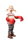 Kleiner Boxer Lizenzfreies Stockfoto Kleiner Boxer Lizenzfreies Stockfoto