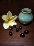 Kleines Glas mit Frangipaniblumen und -k?rnern lizenzfreies stockbild Kleines Glas mit Frangipaniblumen und -k?rnern lizenzfreies stockbild